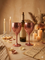 Unbreakable Wine Glass Set